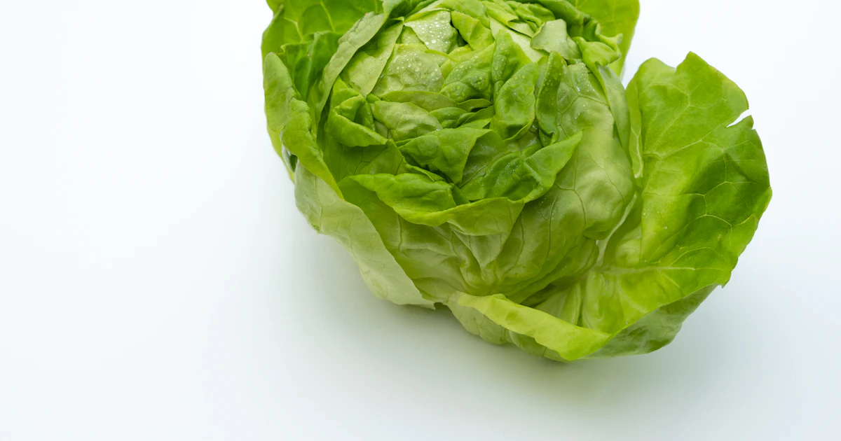 Head of butter lettuce Head of butter lettuce