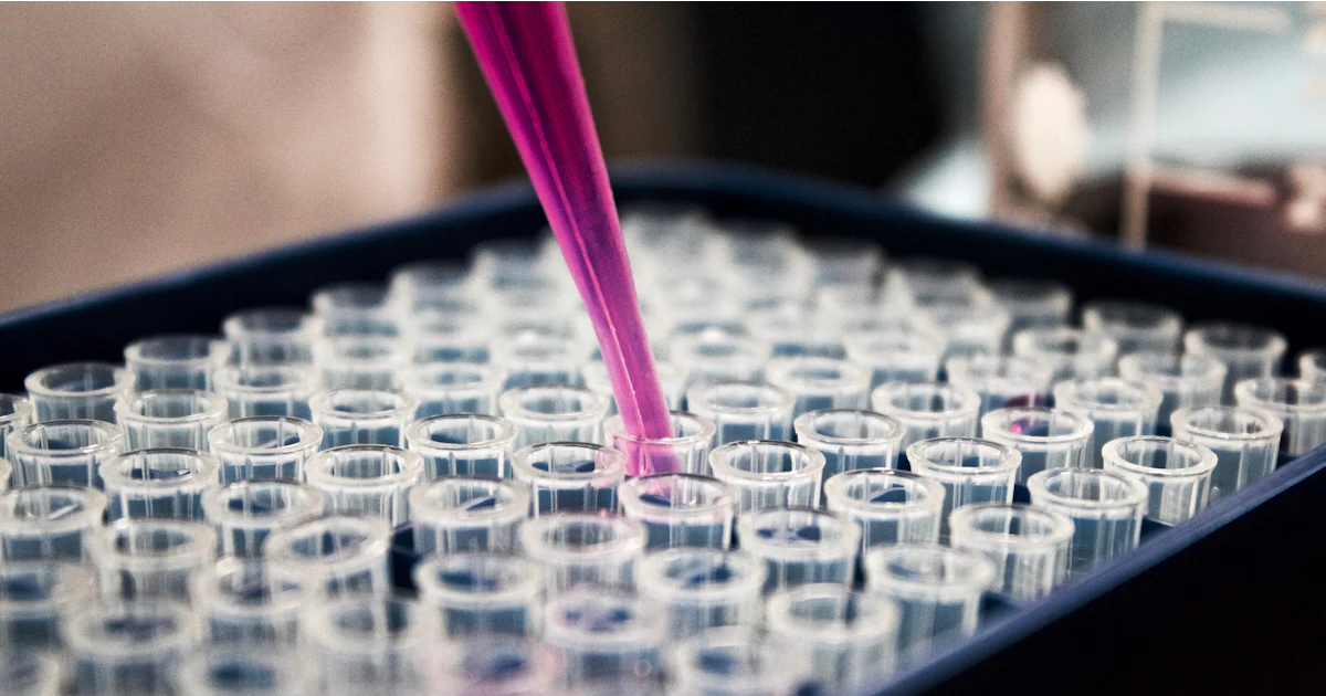 Pink liquid being pipetted into small tubes